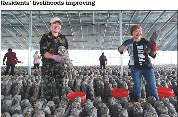 Workers handle mushrooms at a factory that processes edible fungi in Minning, a town in the Ningxia Hui autonomous region, on June 12.Thousands of residents from an impoverished region have been resettled in Minning over the past two decades Chen Zebing / China Daily