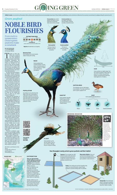 NOBLE BIRD FLOURISHES